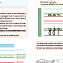 Mon Cahier 7 mm